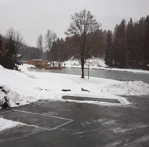 Pieds Des Pistes Vallee De Chamonix Apartment Les Houches